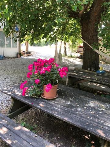 Agriresidence San Pietro Bibione Exterior foto